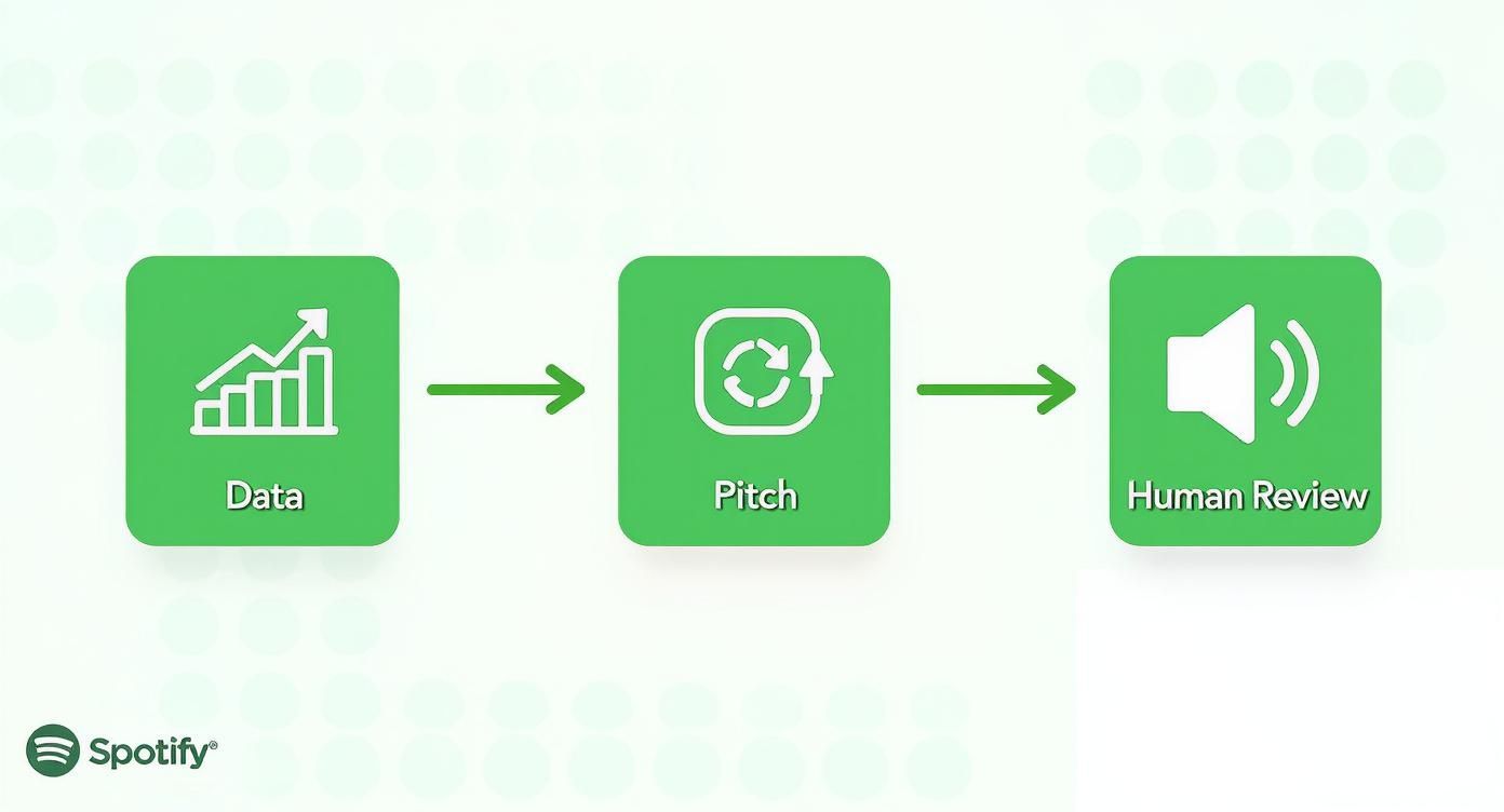 Spotify editorial playlist submission process showing data analysis, pitch submission, and human review stages