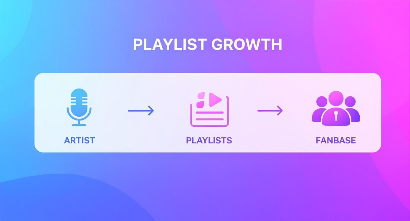 Screenshot from https://artist.tools/playlist-search