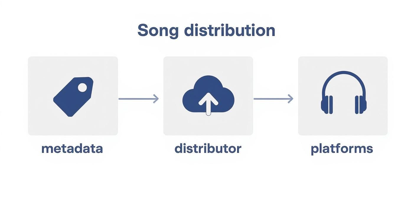 Infographic about how do i get a song published