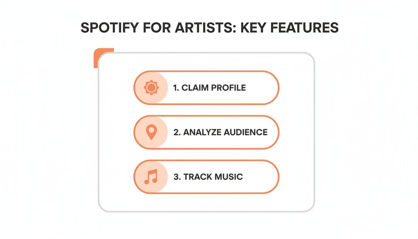 A graphic illustrating Spotify for Artists' key features: Claim Profile, Analyze Audience, and Track Music.