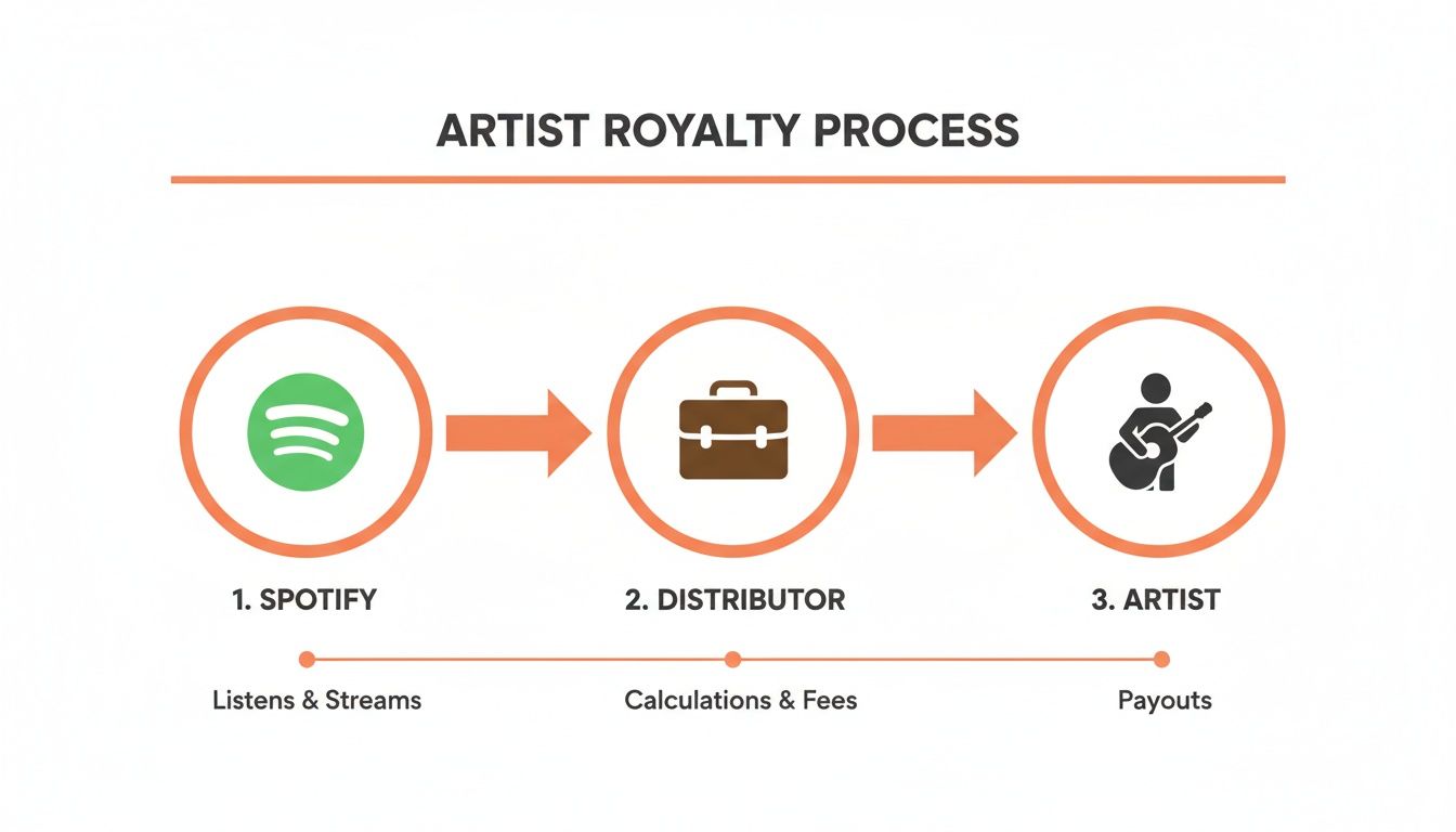 Diagram showing the artist royalty process: Spotify handles streams, distributor calculates fees, then artist receives payouts.