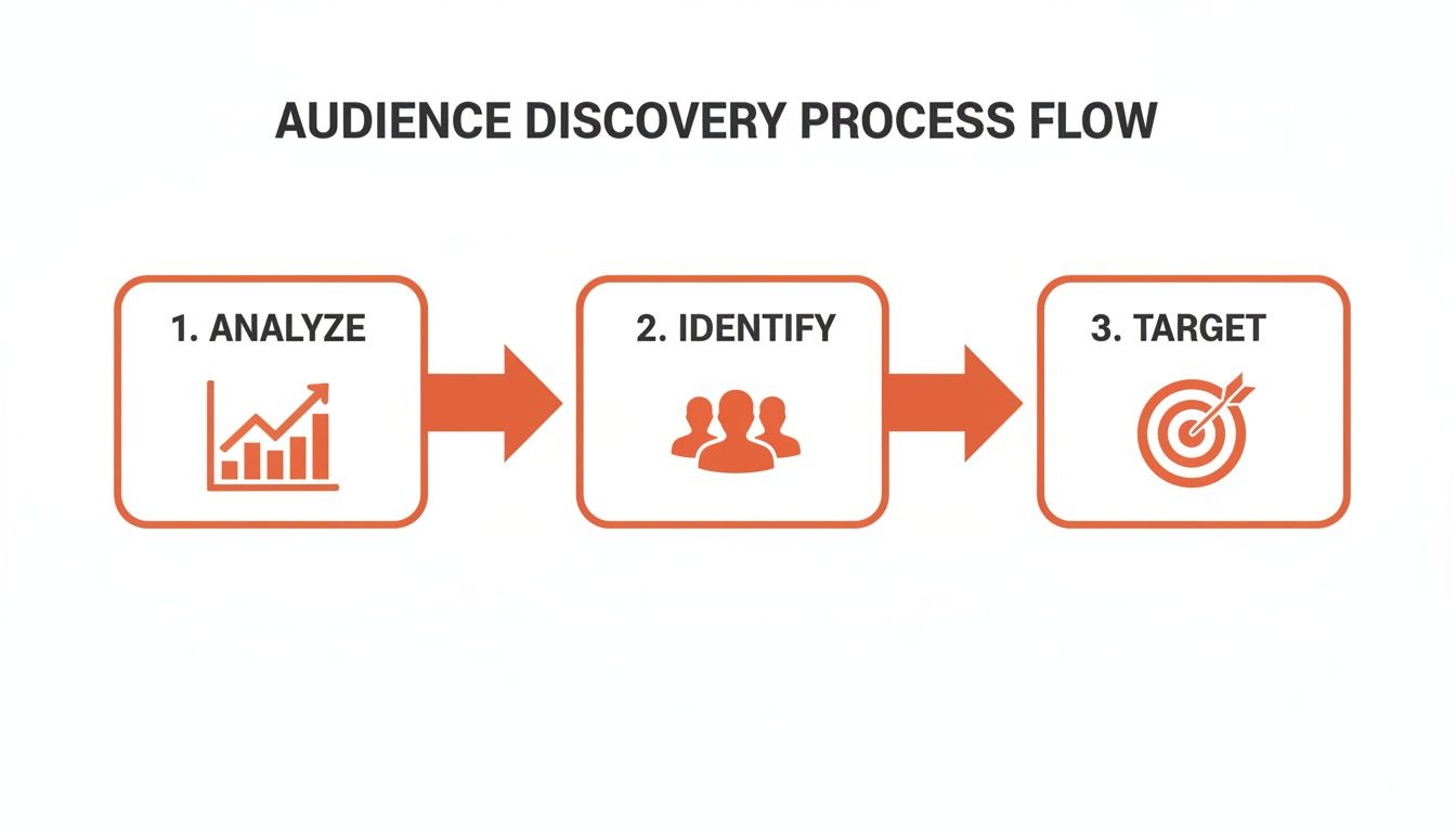 Audience discovery process flow with three steps: analyze, identify, and target.