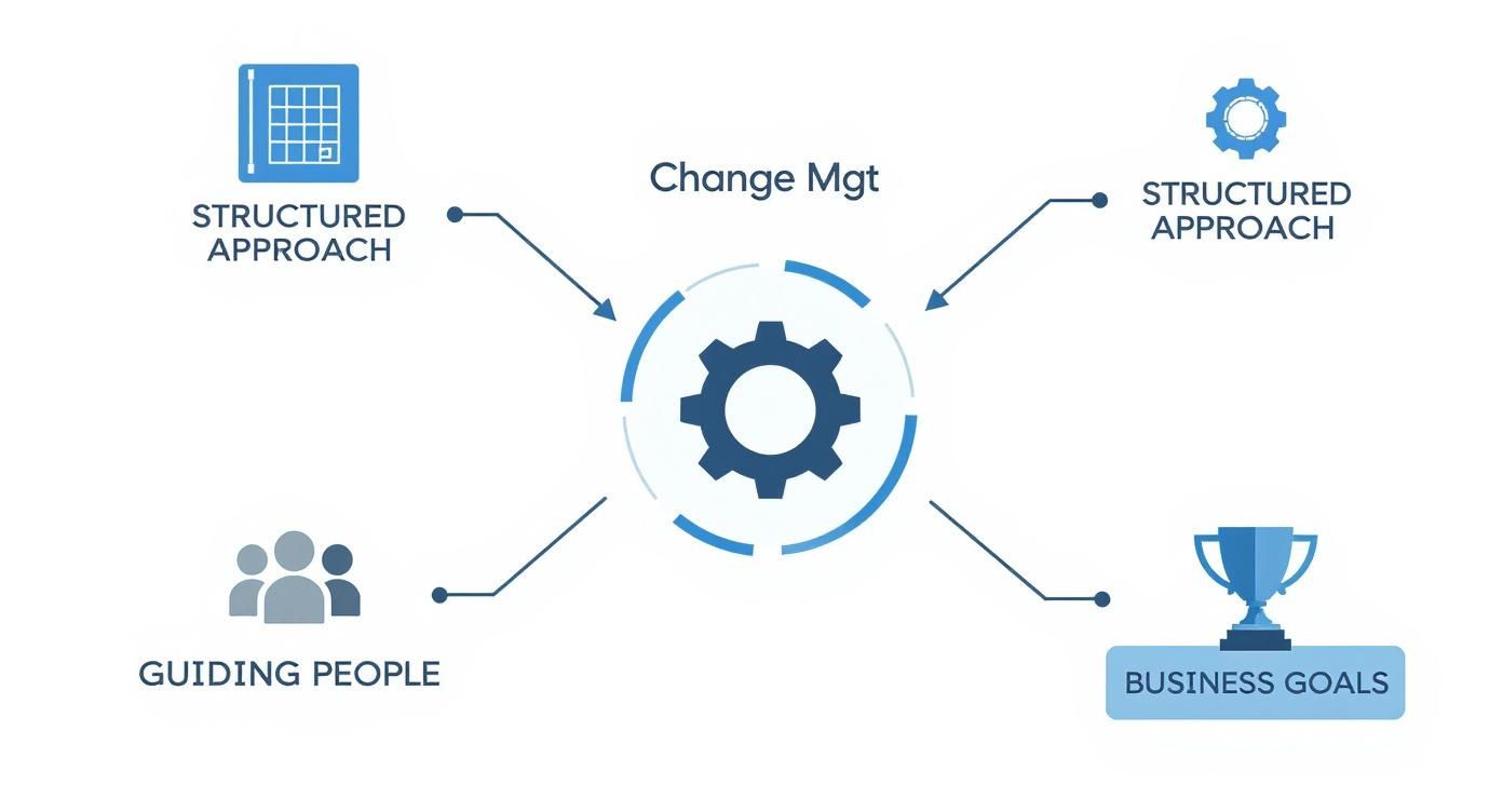 Infographic outlining key elements of the change management process: structured approach, guiding people, and business goals.