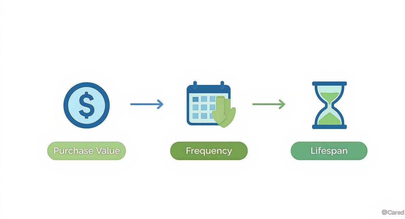 Diagram illustrating key factors for customer value: Purchase Value, Frequency, and Lifespan, with corresponding icons.