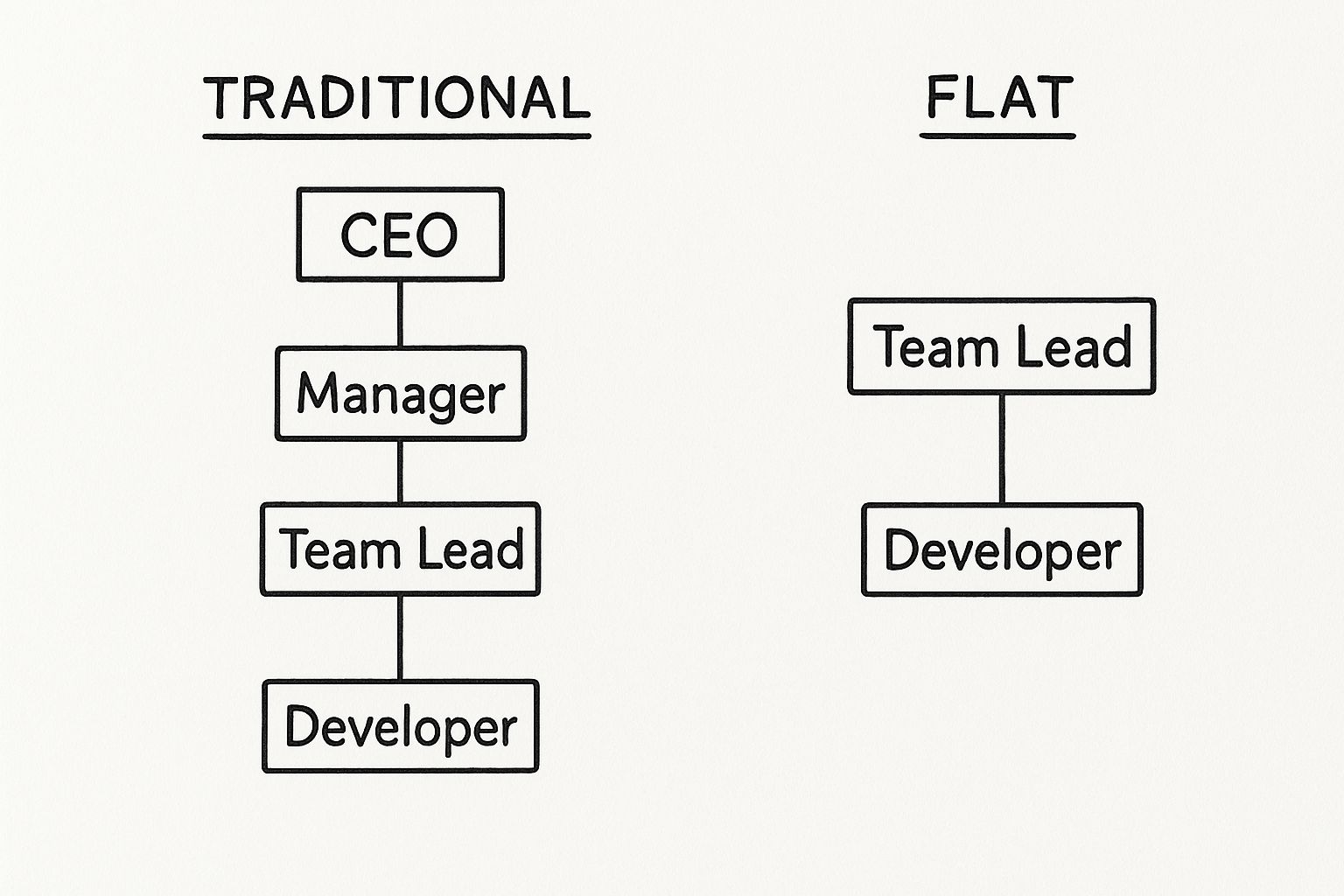 Infographic about software development team structure