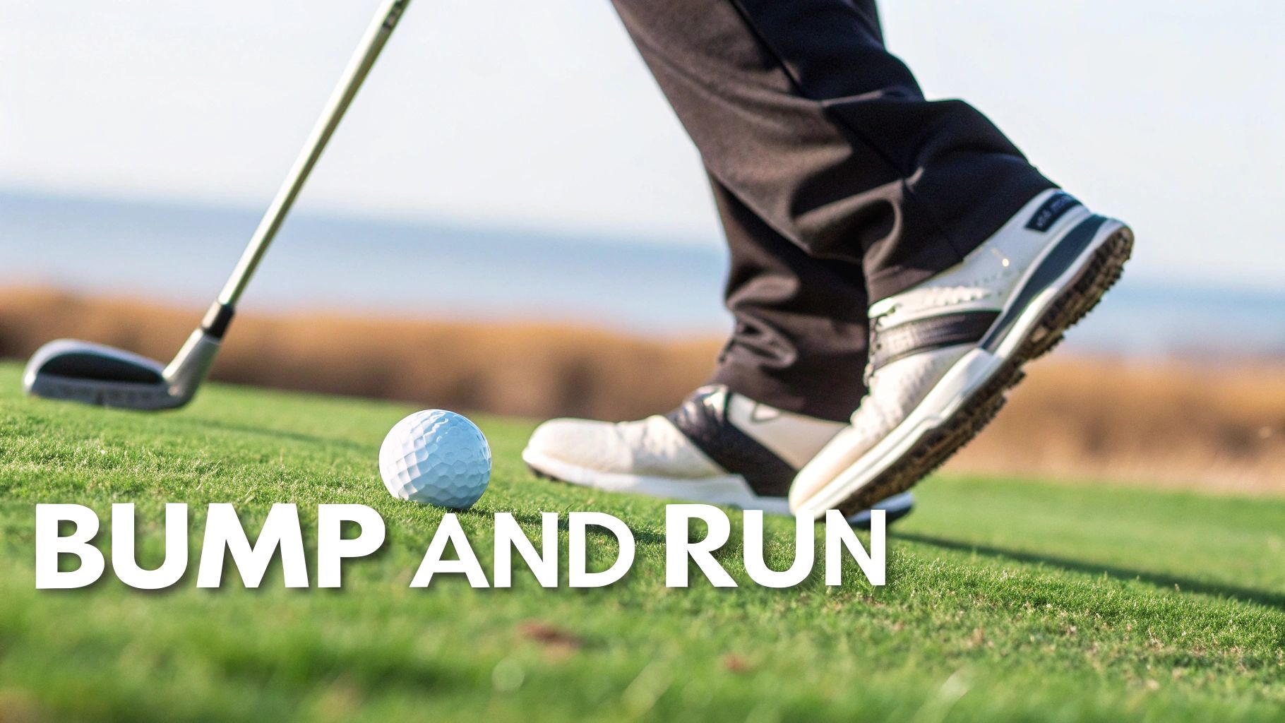 A golfer chipping onto the green from just off the fringe.