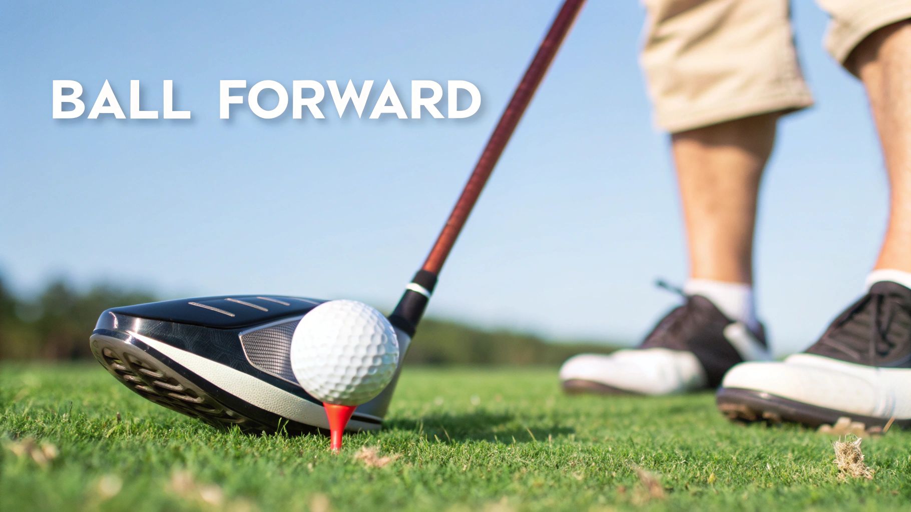 A golfer sets up to hit a golf ball with a driver, illustrating ball forward placement.