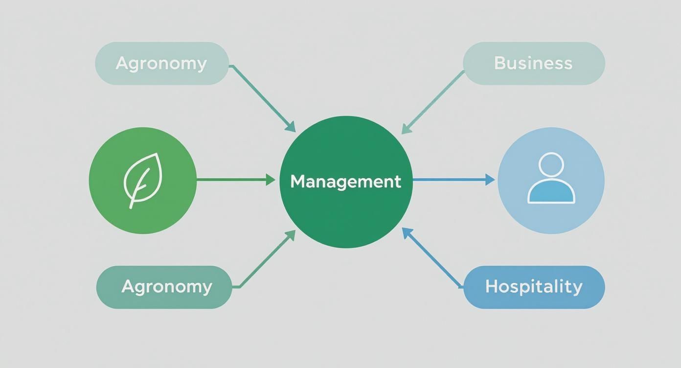 Infographic about golf course management