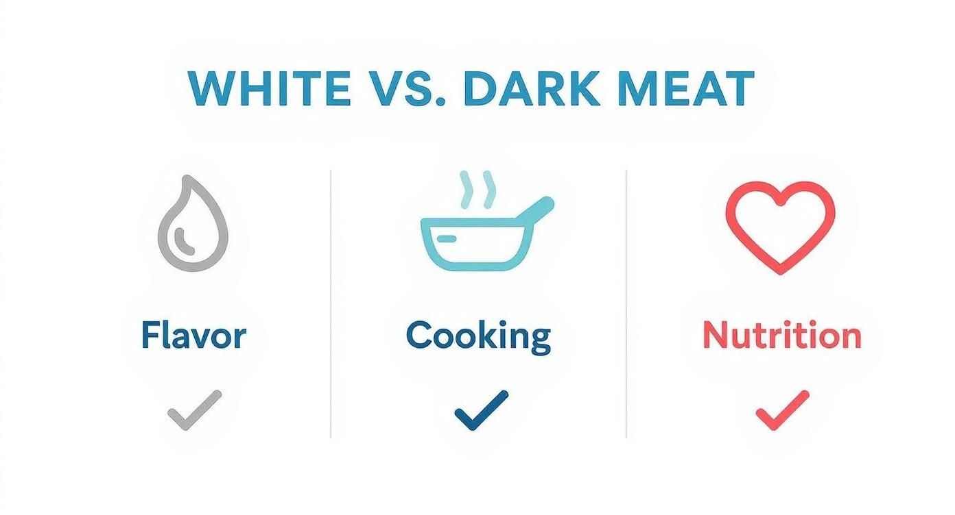 Infographic comparing white versus dark meat, highlighting flavor, cooking, and nutrition aspects with icons