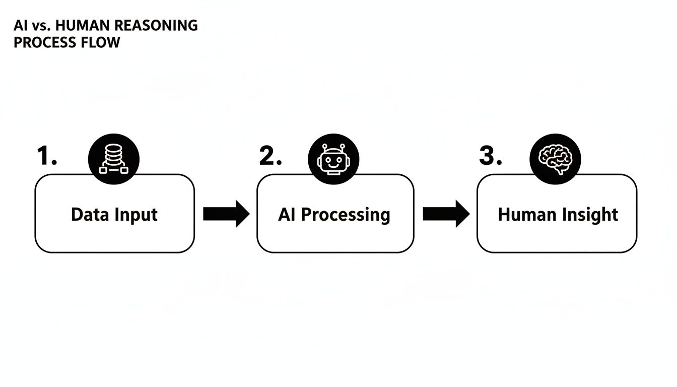 A flowchart illustrates the AI vs. Human Reasoning Process Flow with Data Input, AI Processing, and Human Insight steps.