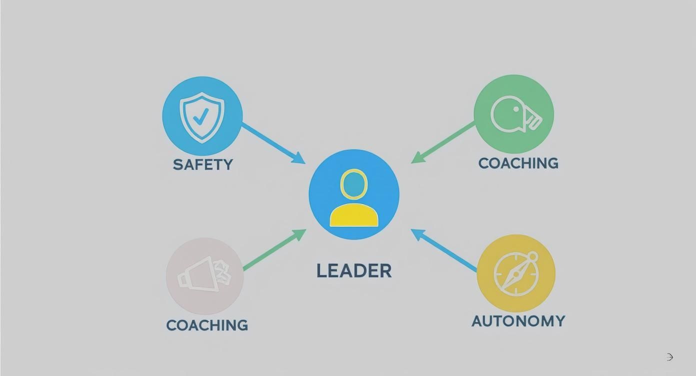 Infographic about what is team dynamics