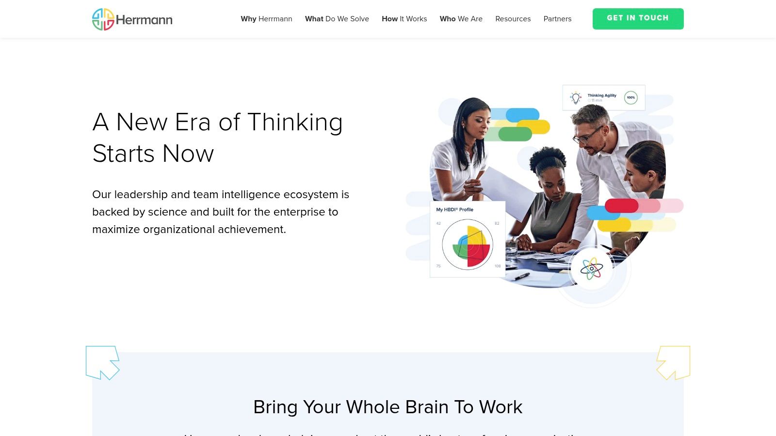 Herrmann HBDI (Whole Brain Thinking)