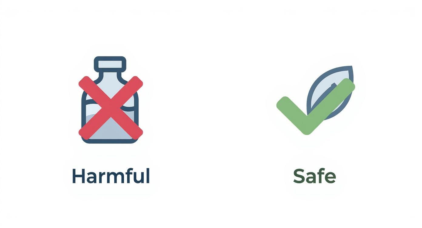 Infographic comparing harmful chemical cleaners with safe, non-toxic alternatives.