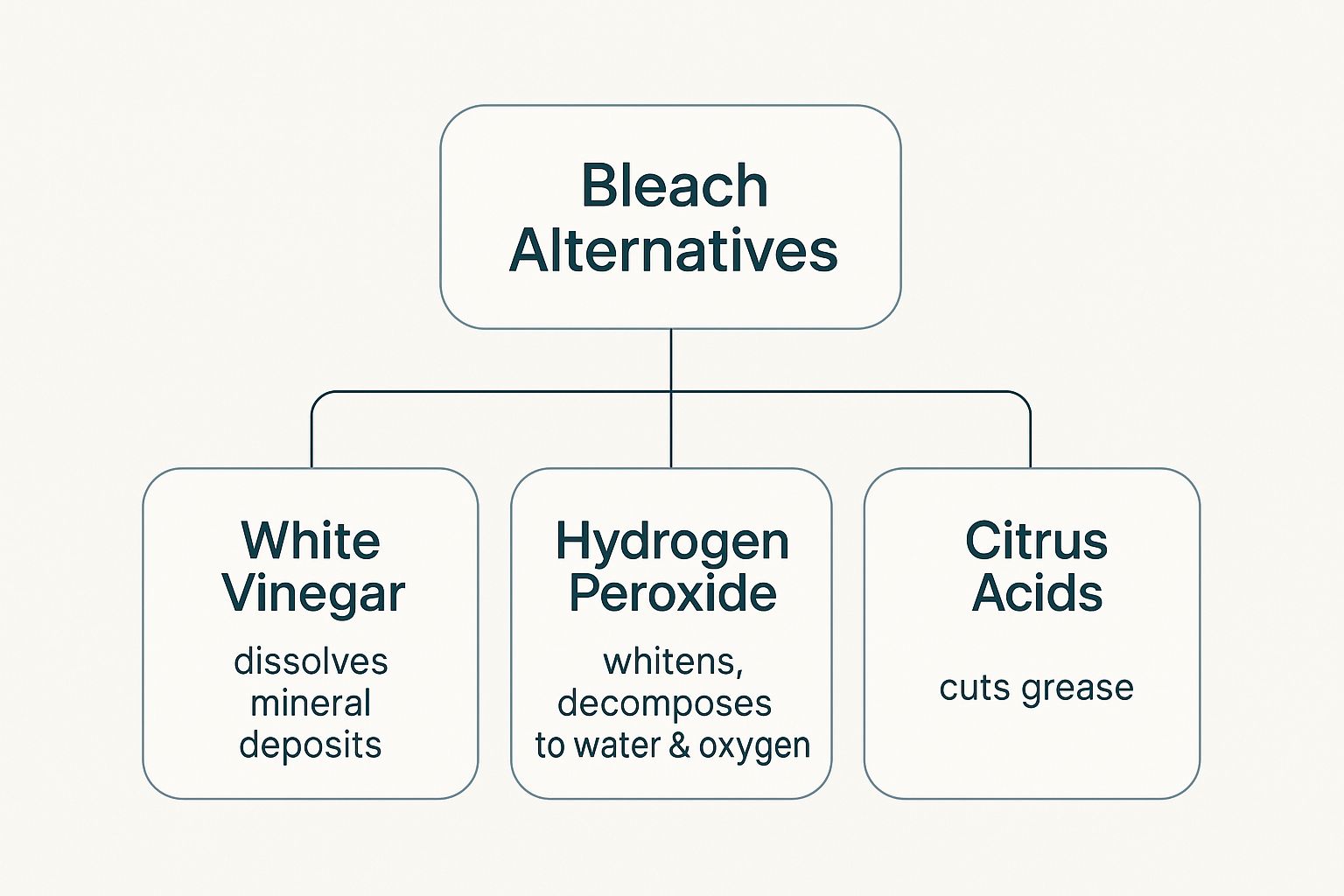 Infographic about natural alternatives to bleach