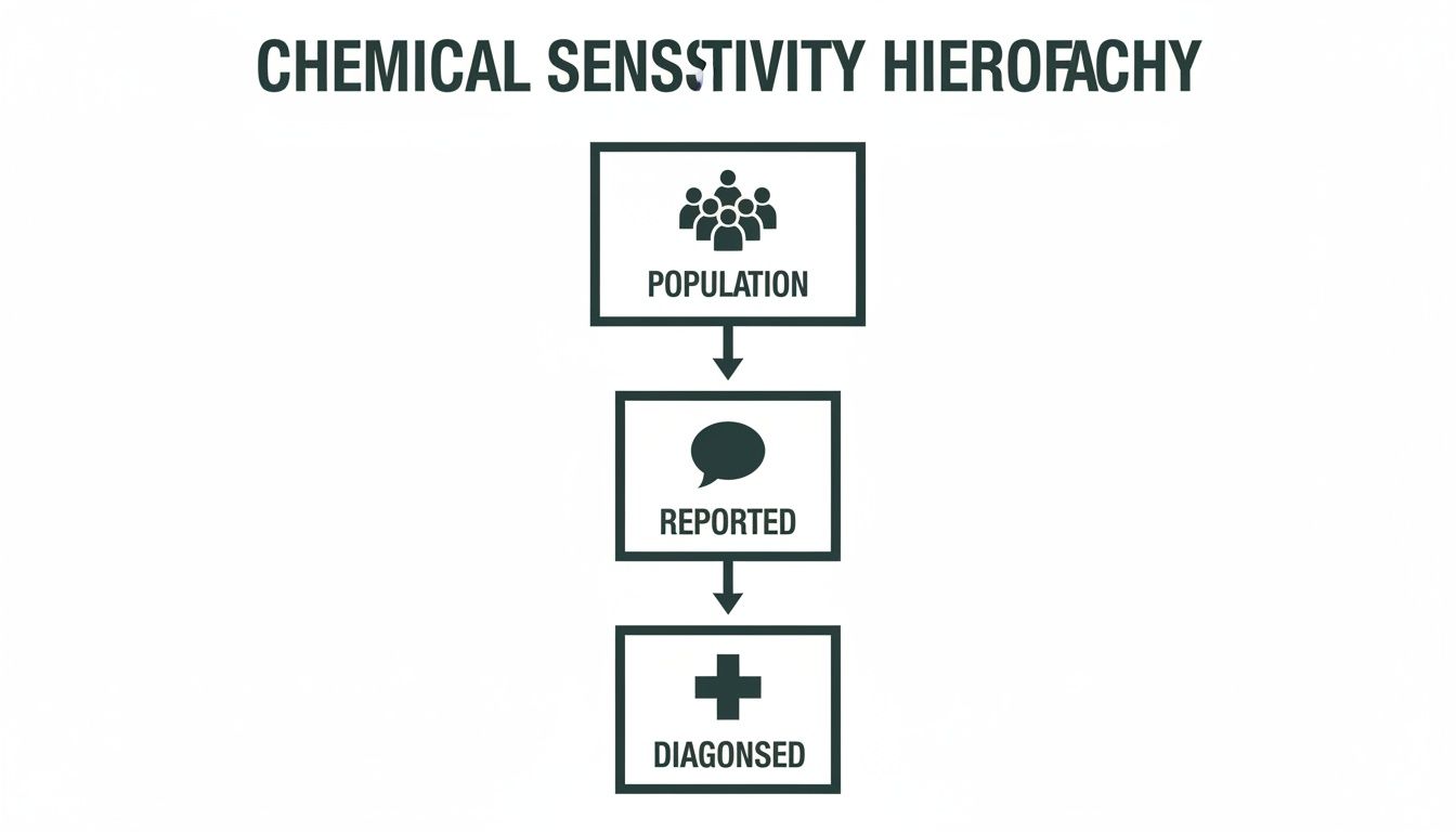 Flowchart illustrating the chemical sensitivity hierarchy, showing a progression from the general population to reported and then diagnosed cases.