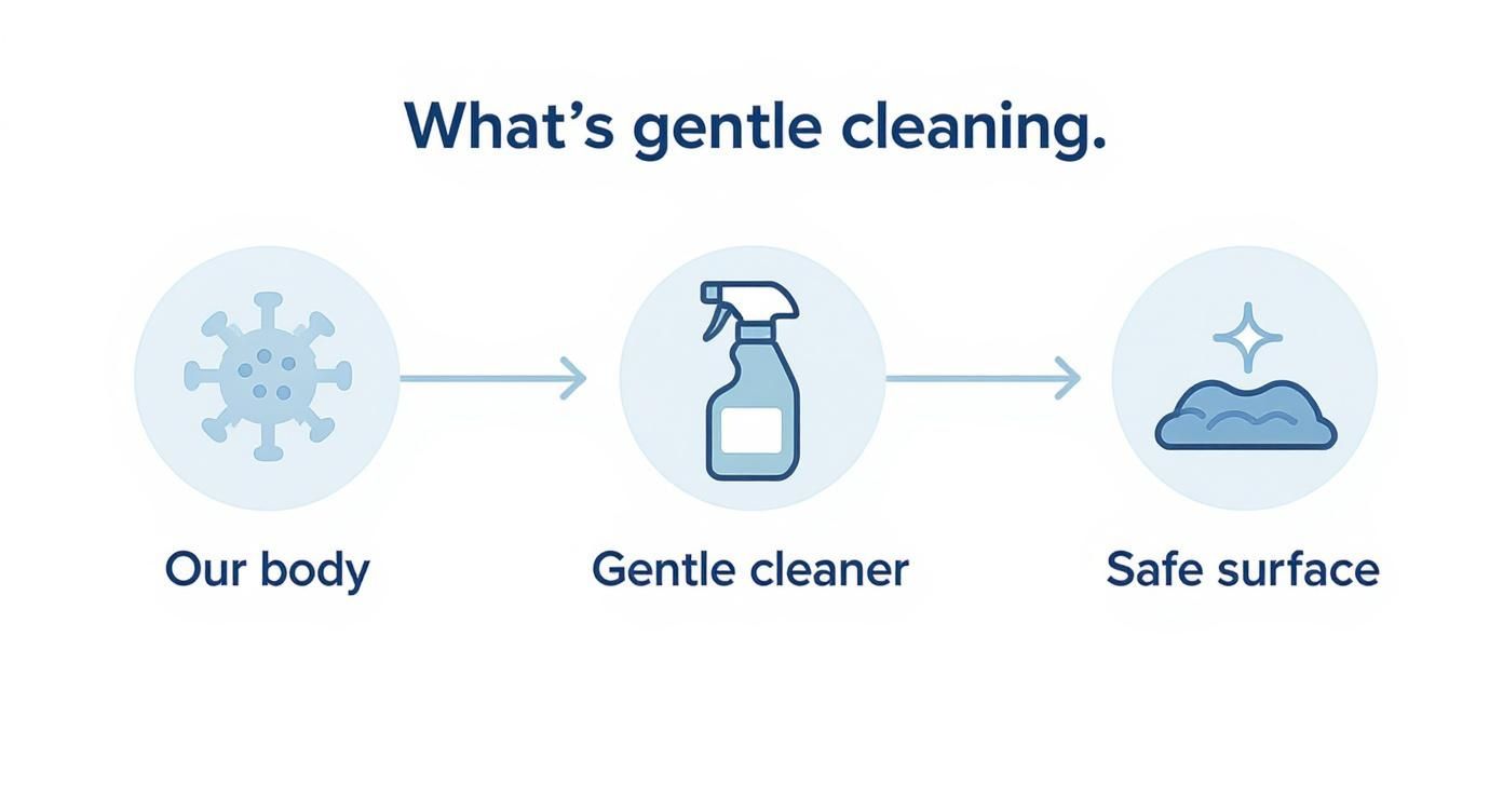 Infographic about best baby safe cleaning products