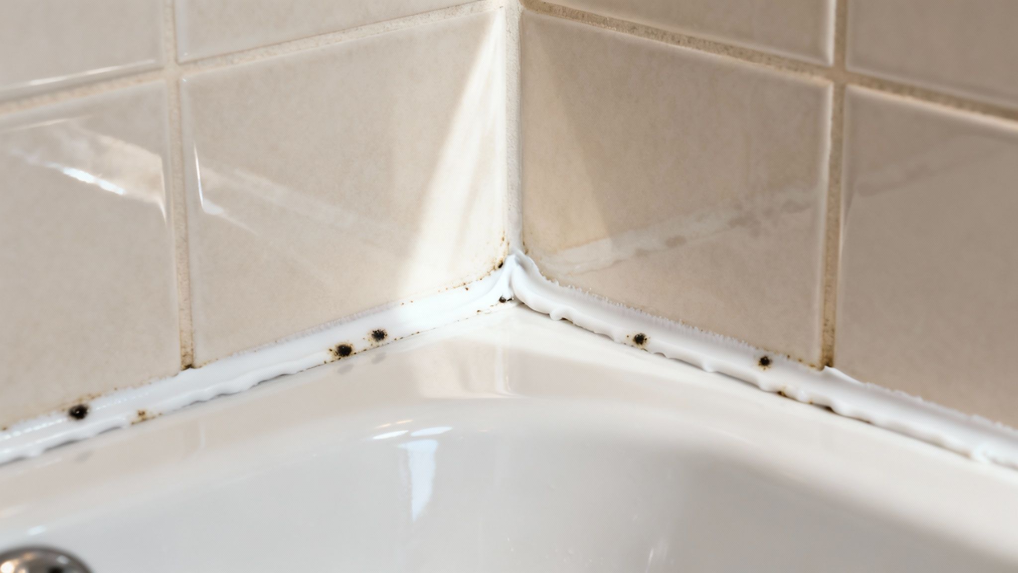 Mold and mildew accumulation on the caulk line between a white bathtub and tiled shower wall.