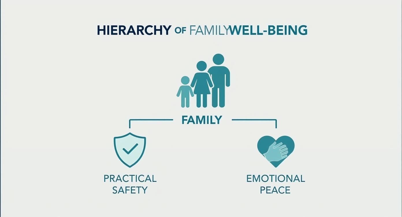 Infographic about non toxic cleaning products
