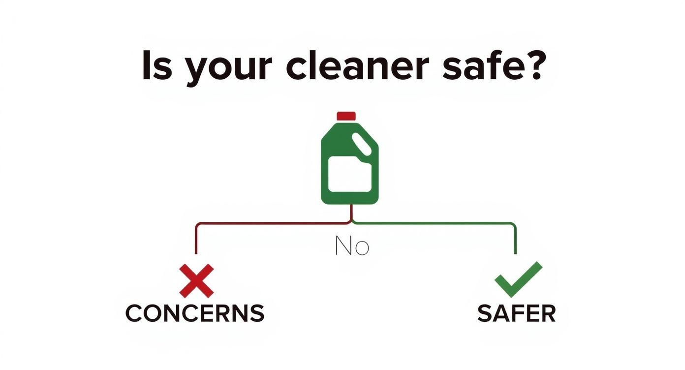 Decision flowchart showing cleaner safety evaluation with concerns and safer options branching from no