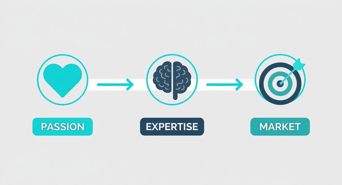 A flowchart showing how passion leads to expertise, which then finds a market.