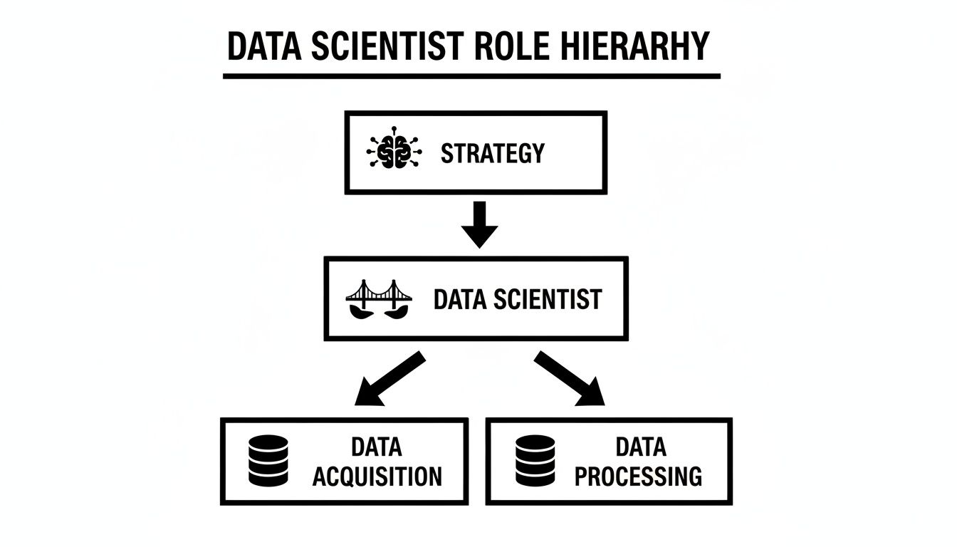 Die strategische Bedeutung der Data-Scientist-Rolle in deutschen Unternehmen
