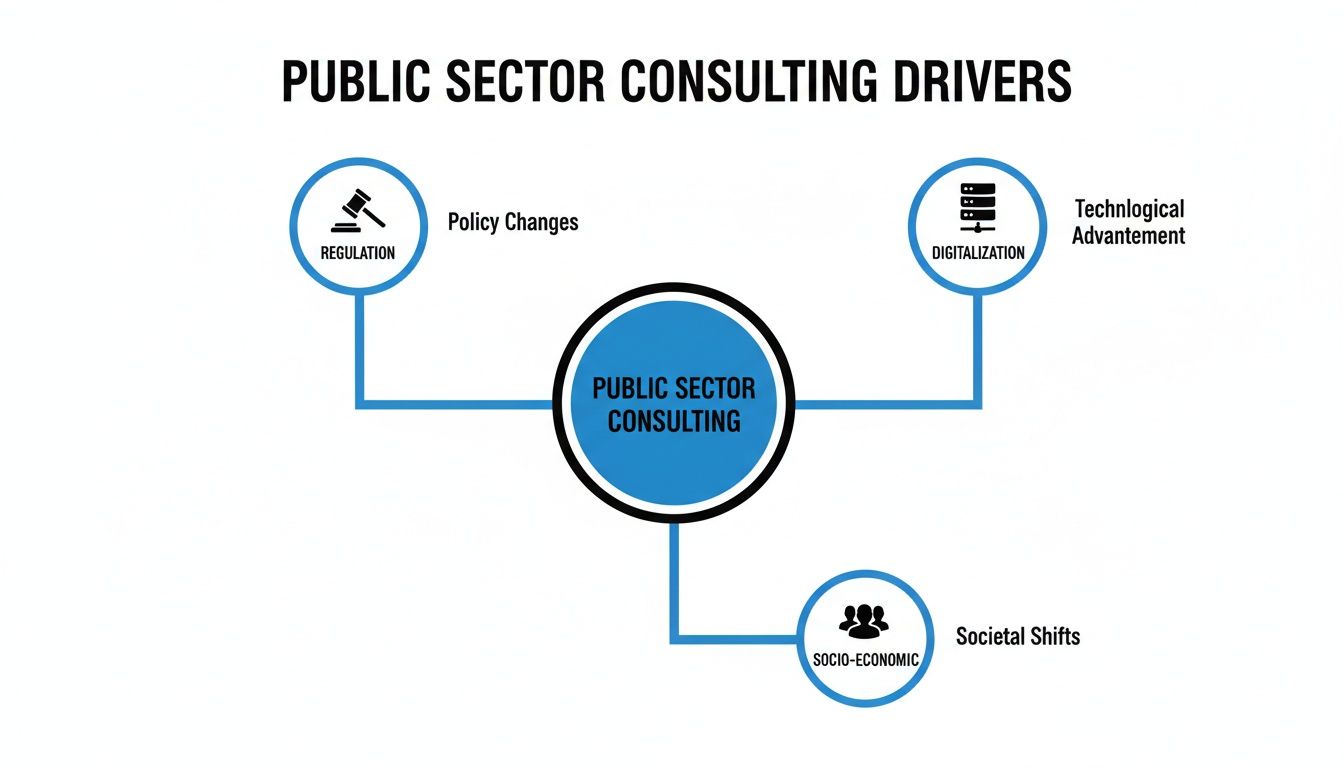 A C-Suite Guide to Public Sector Consulting in Germany