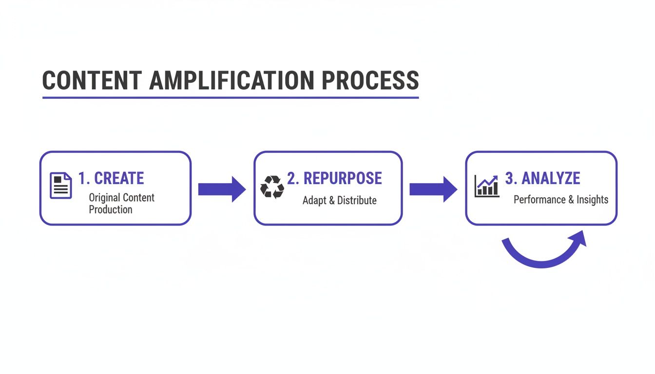 Diagram illustrating the content amplification process with steps: create, repurpose, and analyze in a cycle.