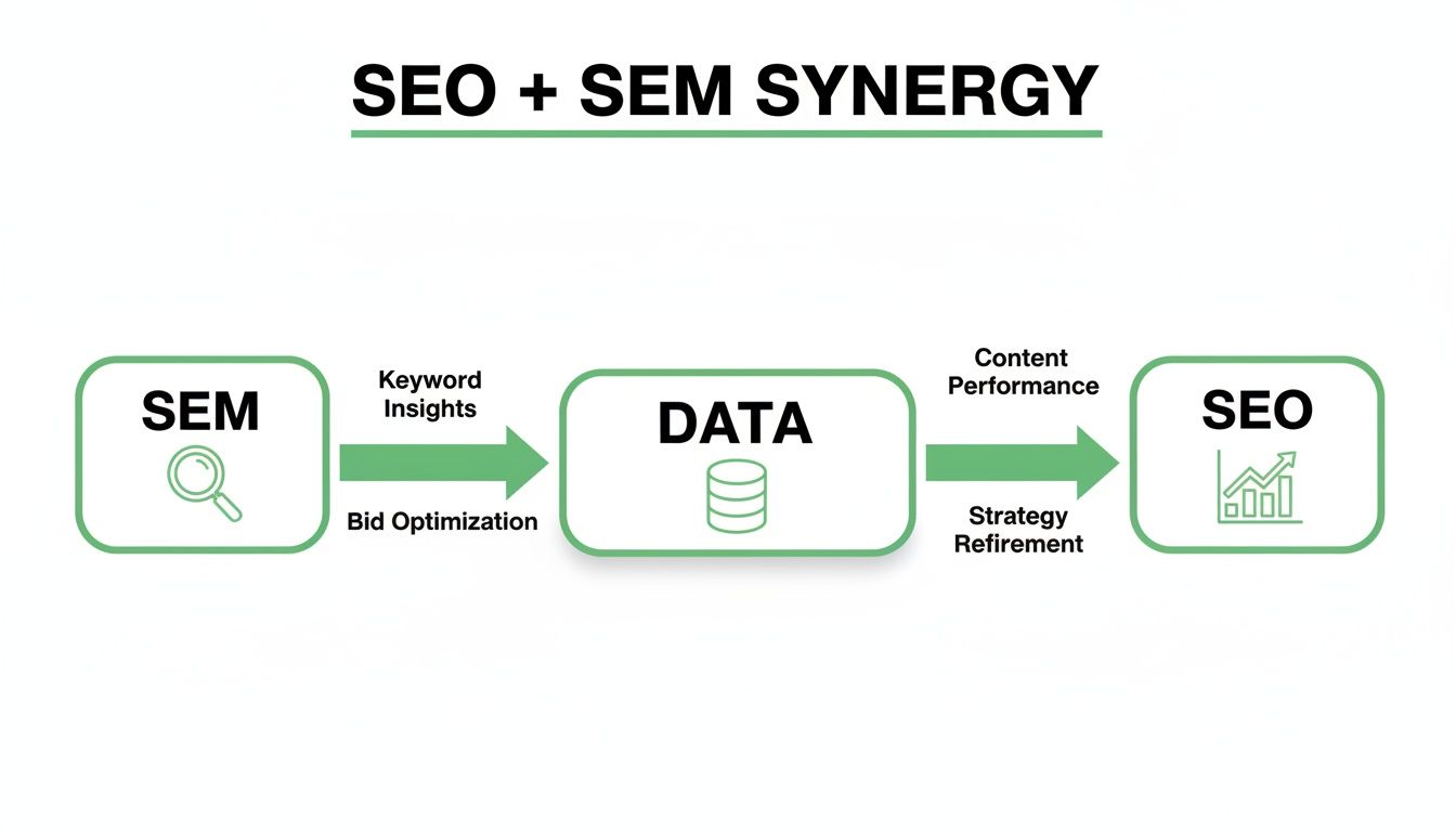 Flowchart illustrating the synergy between SEO and SEM, showing data exchange for optimization.