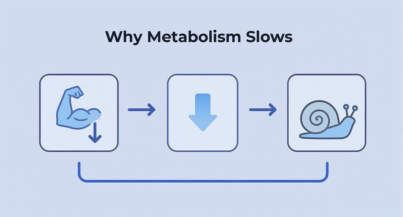 Infographic about how to boost metabolism after 40