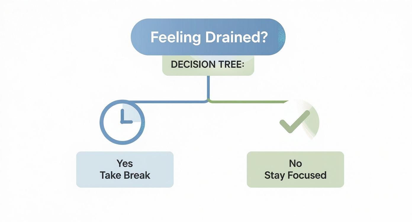 Infographic decision tree asking 'Feeling Drained?' with paths to 'Take Break' or 'Stay Focused'.