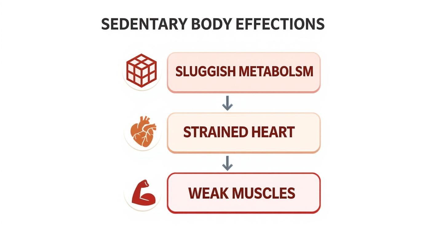 Infographic about sedentary lifestyle health risks