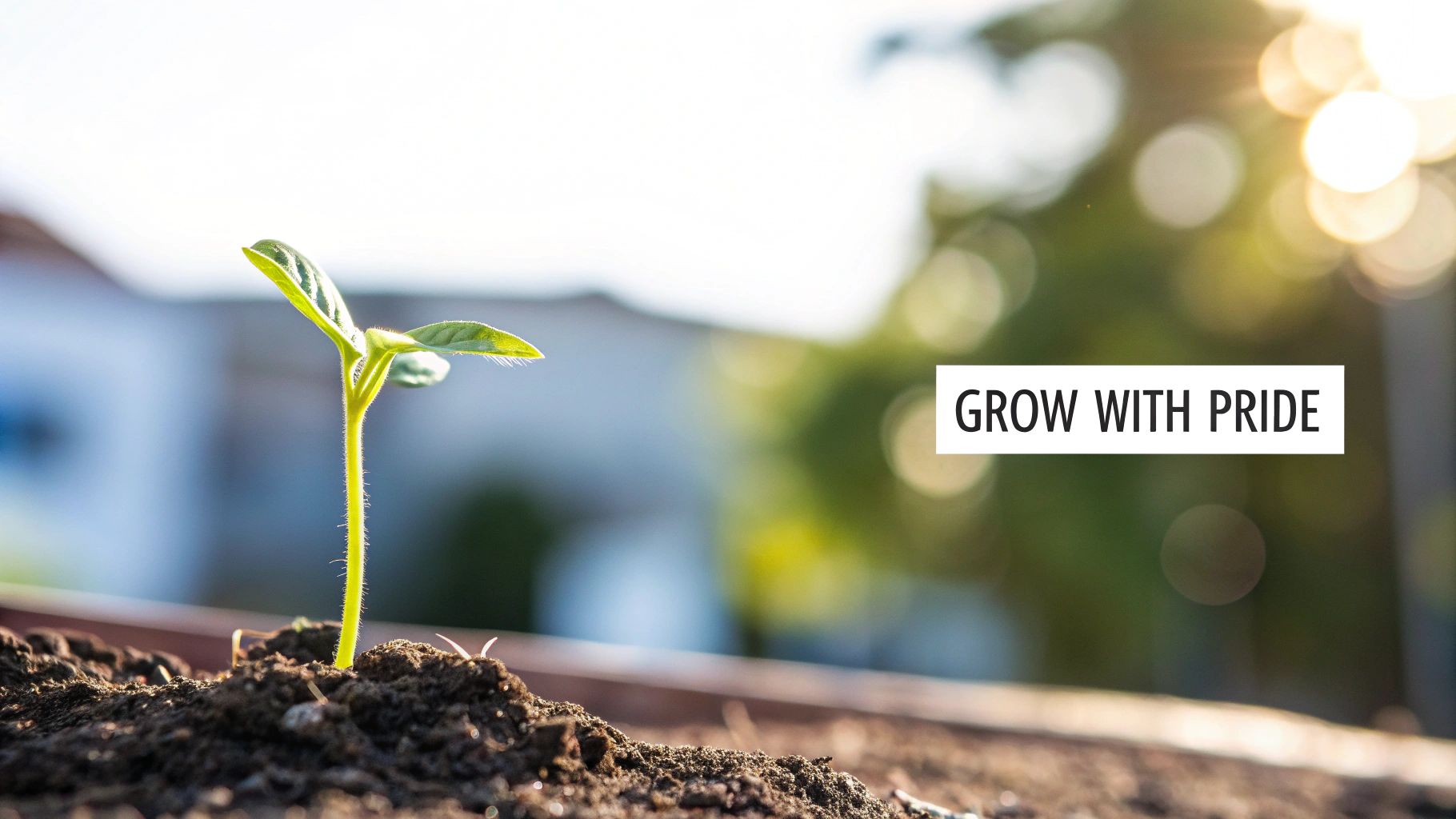Heartfelt Personal Growth Wishes