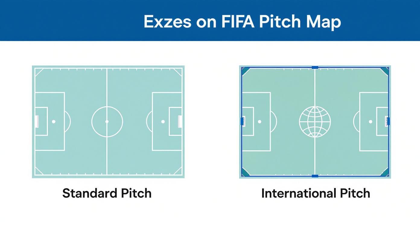 Infographic showing a concept map of standard vs. international FIFA pitch dimensions with soccer field and globe icons.