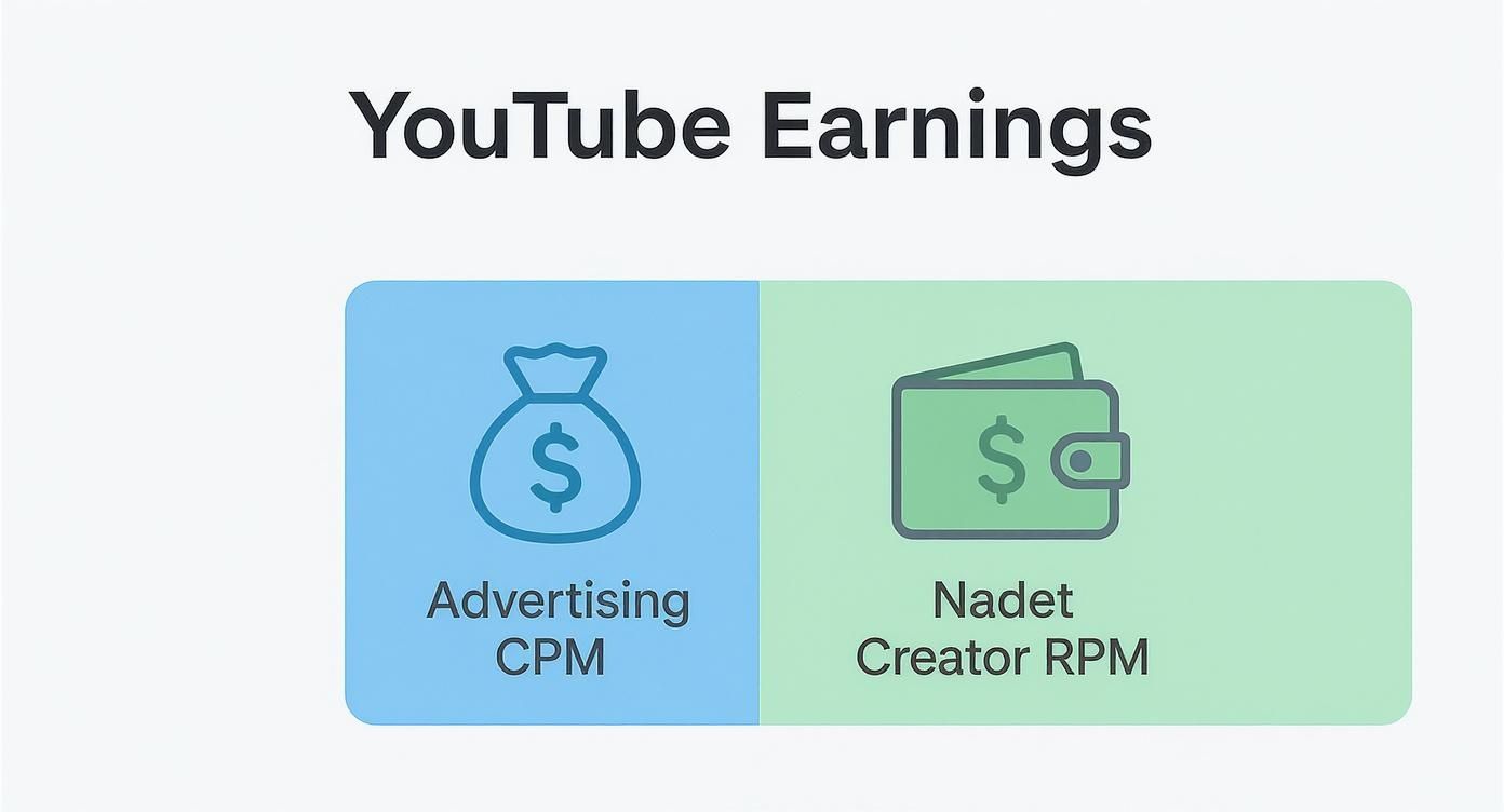 A graphic illustrating YouTube earnings, comparing advertising CPM and Nadet Creator RPM metrics.