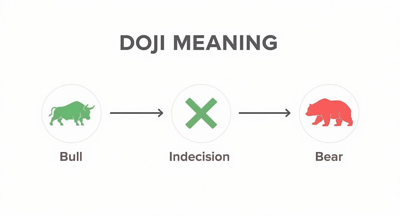 Infographic about what is a doji candlestick