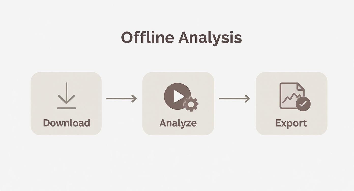 Offline analysis workflow diagram showing three steps: download, analyze, and export with icons