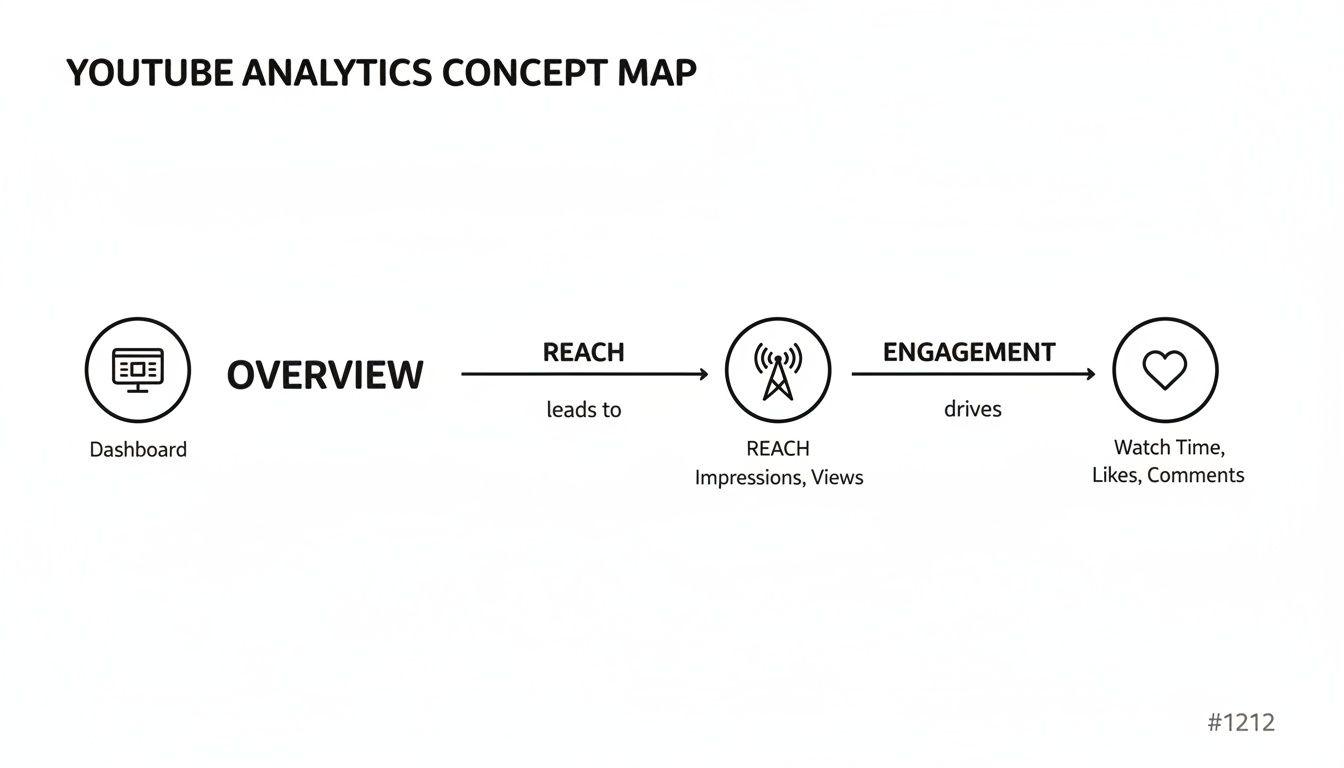 YouTube Analytics concept map illustrating the flow from Overview to Reach and Engagement metrics.