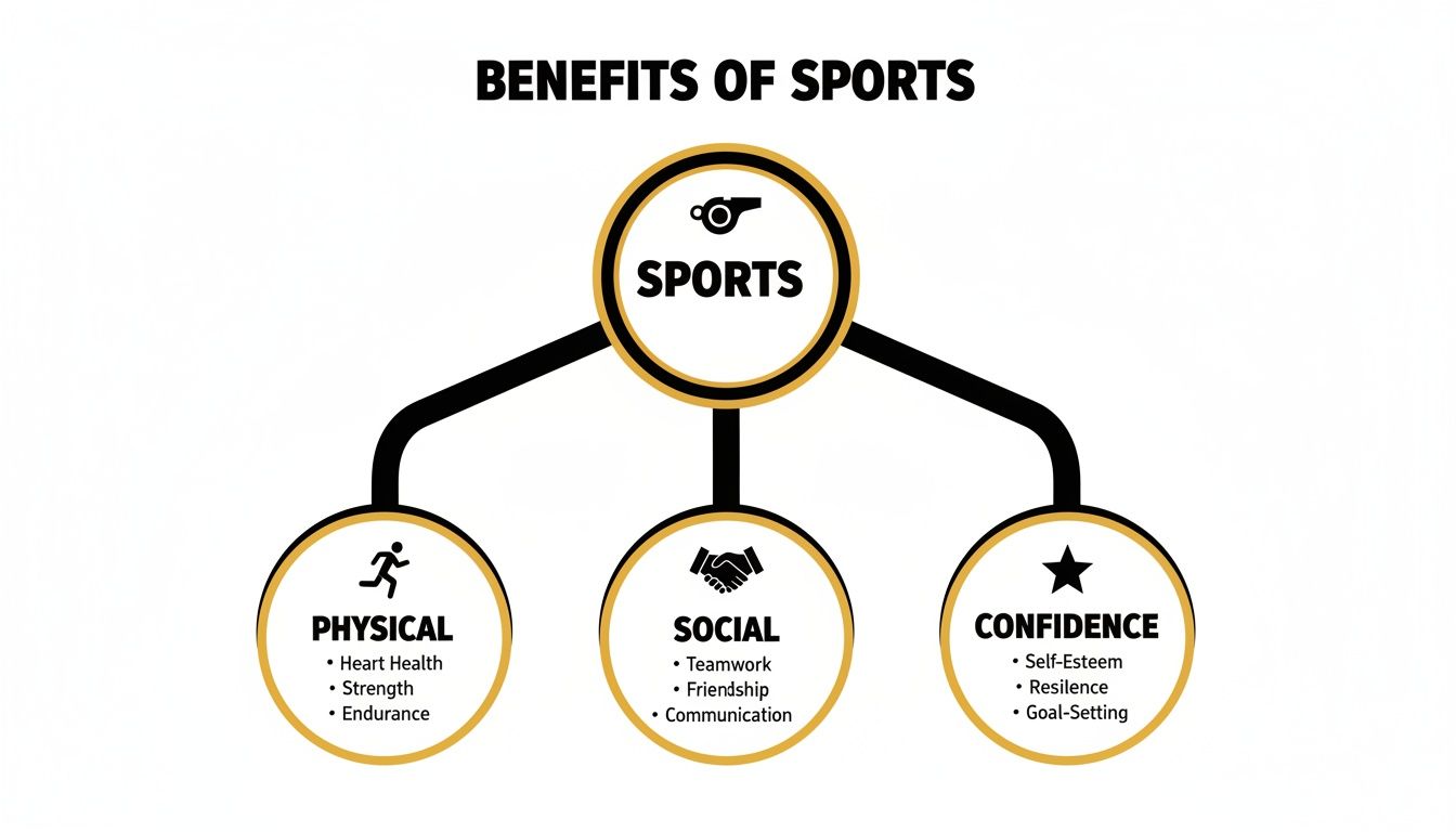Diagram illustrating the benefits of sports, categorized into physical, social, and confidence aspects.