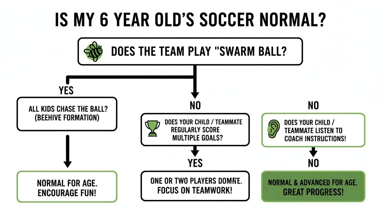 A flowchart titled 'Is my 6 year old's soccer normal?' guiding parents through common observations.