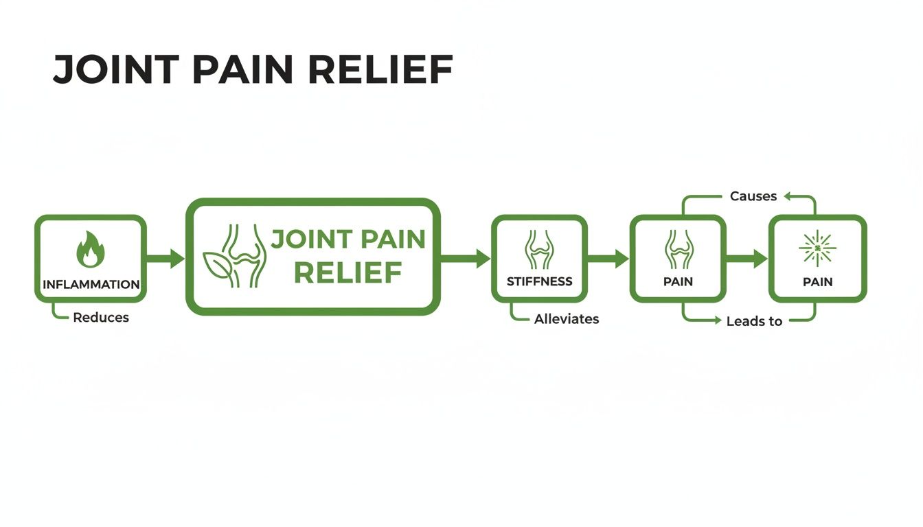 Flowchart illustrating joint pain relief by reducing inflammation and alleviating stiffness, with interconnected pain concepts.
