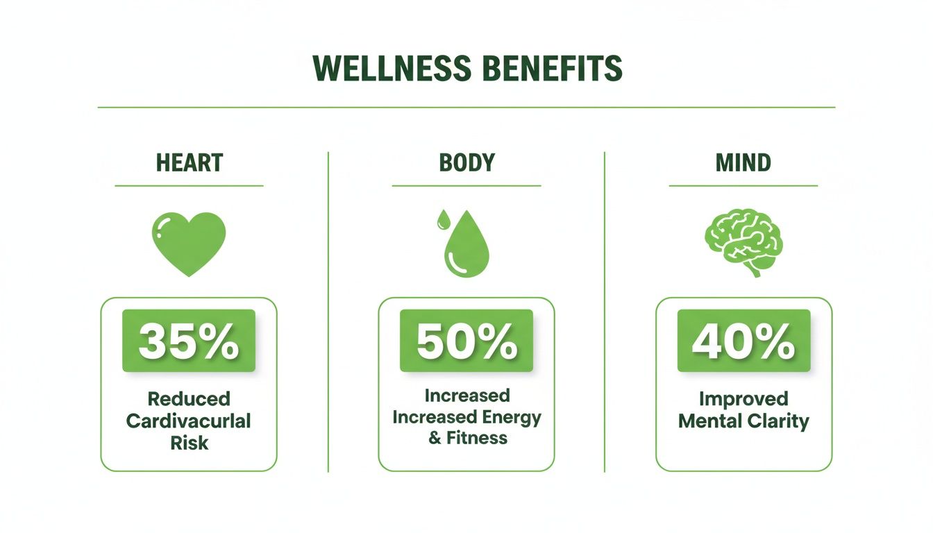 An infographic illustrating wellness benefits: 35% reduced cardiovascular risk, 50% increased energy, 40% improved mental clarity.