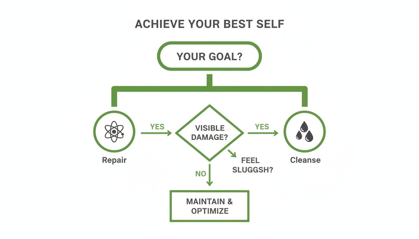 Flowchart outlining steps to achieve your best self: Repair, Cleanse, or Maintain & Optimize.