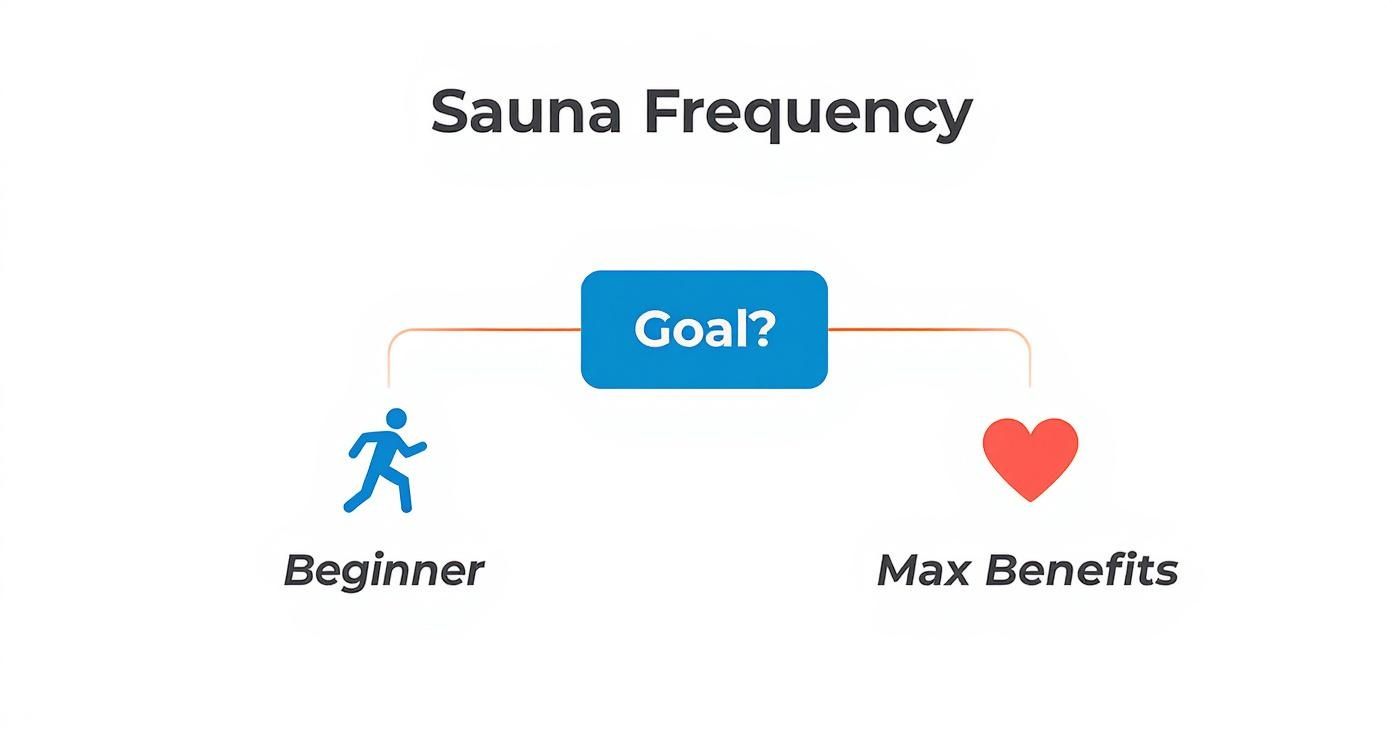 Infographic about how often should i use a sauna