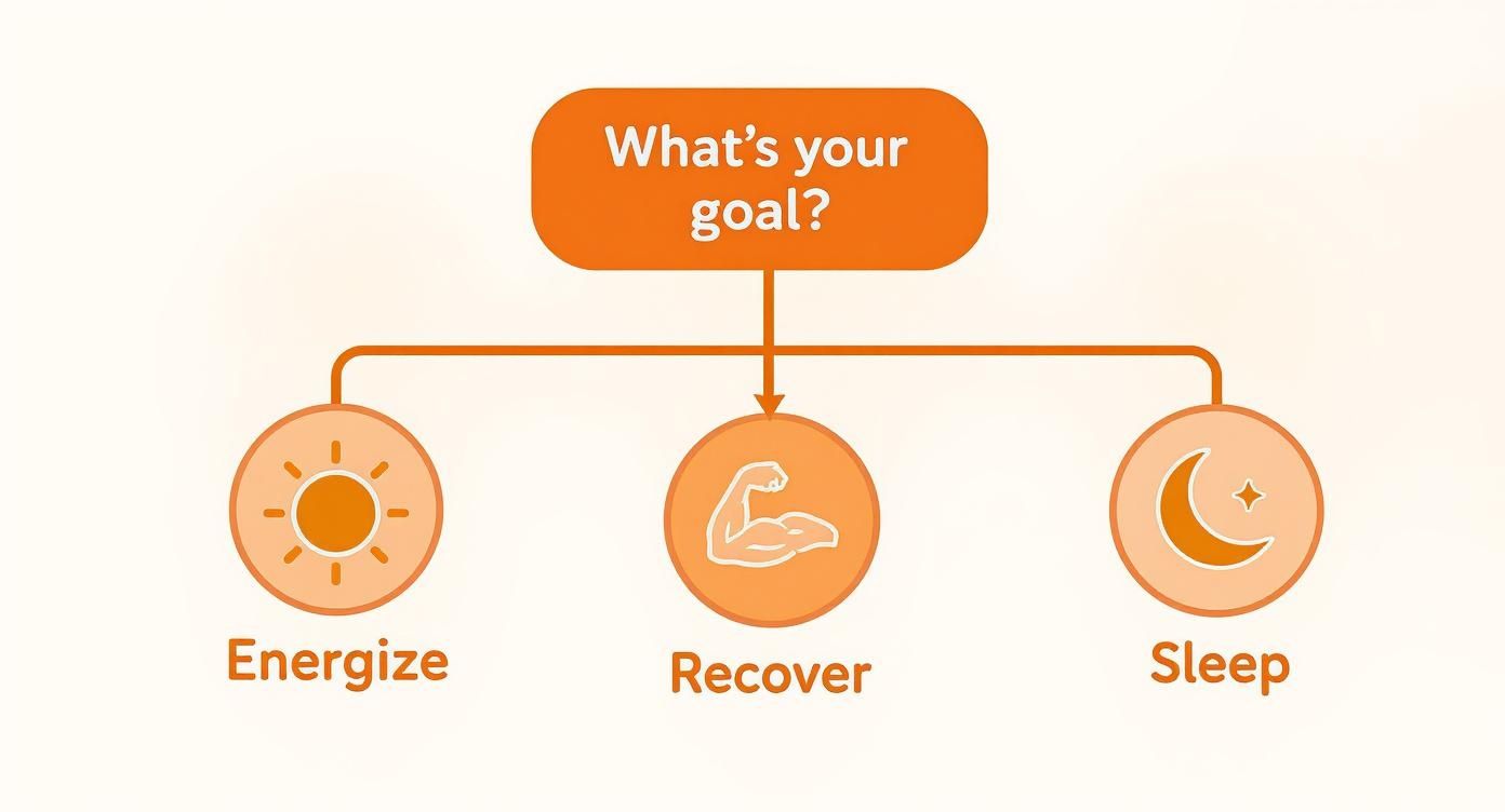 Infographic about best time to use sauna