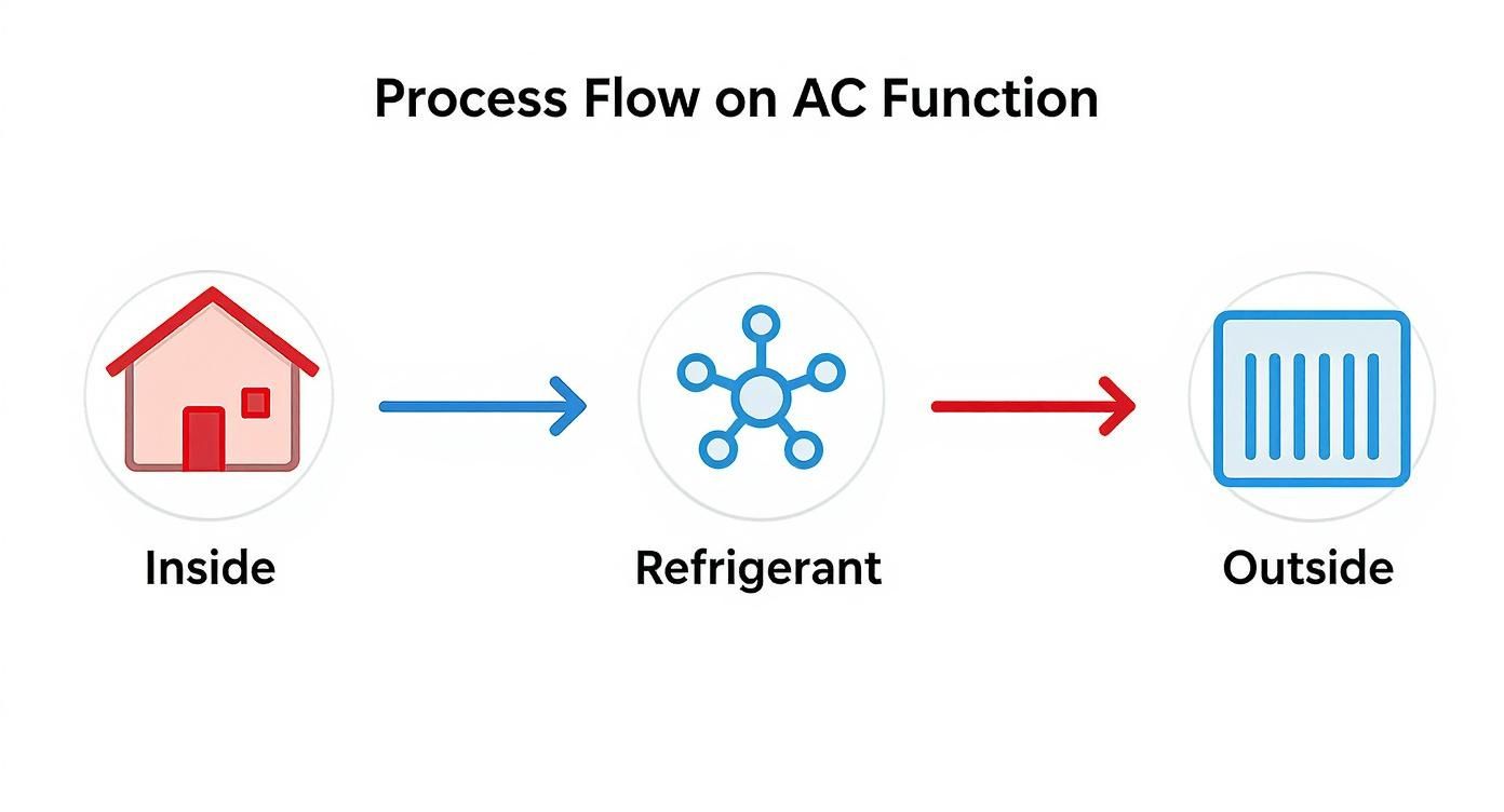 Infographic about what is a condenser unit
