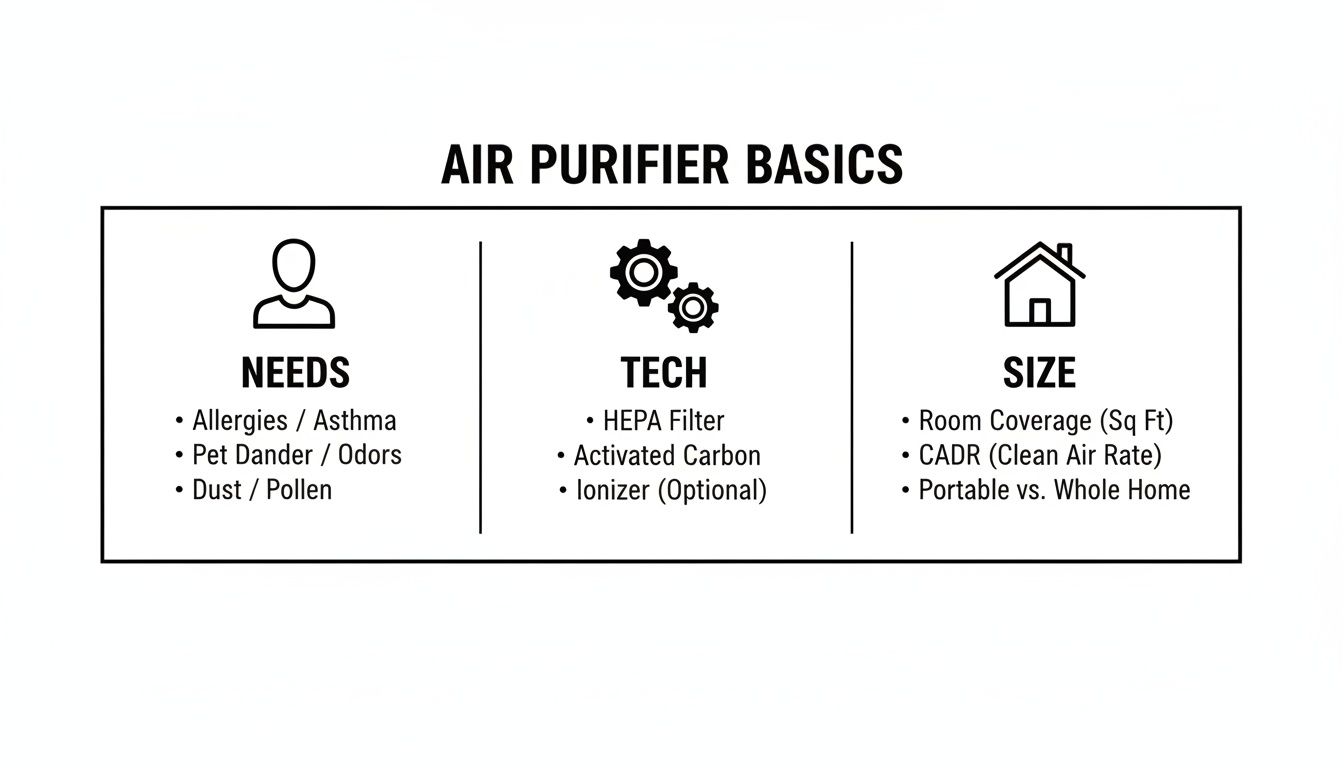 Infographic outlining air purifier basics, covering user needs, technology types, and sizing considerations for homes.