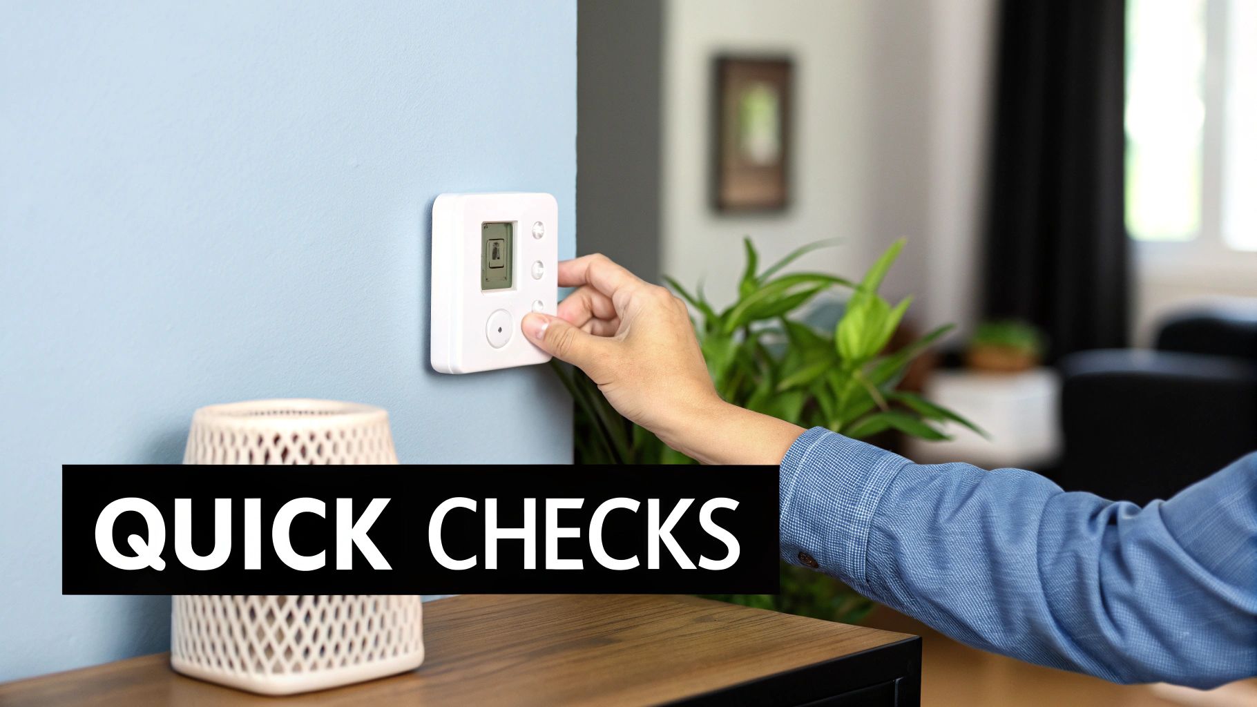A person's hand adjusts a white digital thermostat mounted on a light blue wall, with a plant and room in the background.