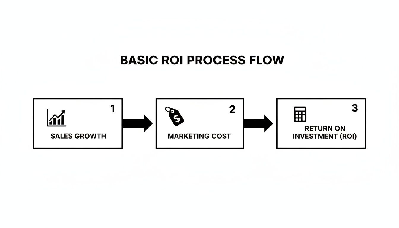 A flowchart titled 'BASIC ROI PROCESS FLOW' showing three steps: Sales Growth, Marketing Cost, and Return on Investment (ROI).