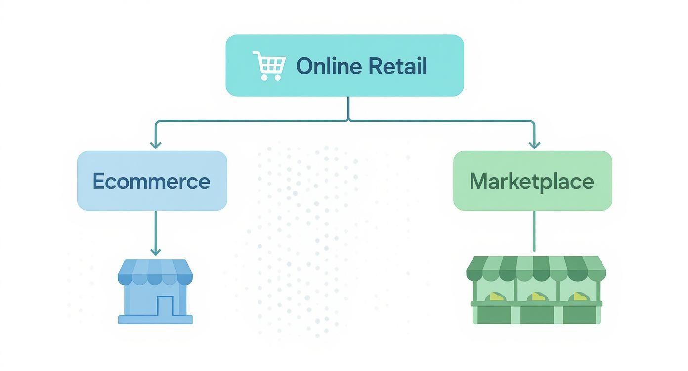 Infographic about ecommerce and marketplaces