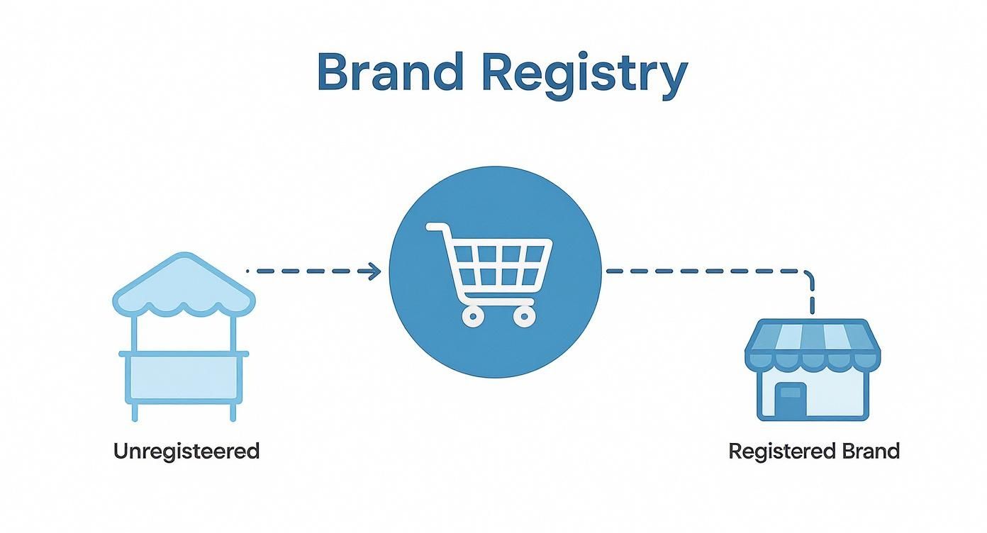 Diagram illustrating the process of an unregistered brand becoming a registered brand via a shopping platform.